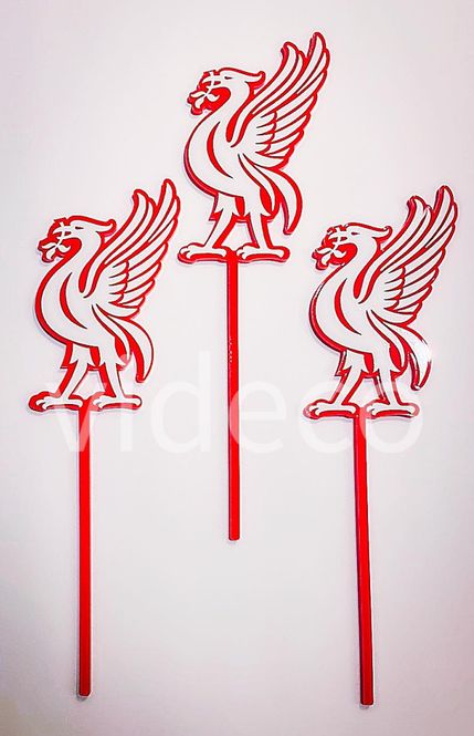 Hovedbilde Kakepynt, liverbird