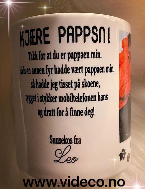 Hovedbilde Kopp- Hunde pappsn