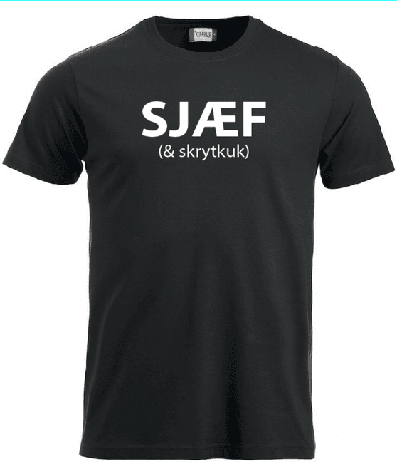 Hovedbilde T-shirt, SJÆF (& skrytkuk) 