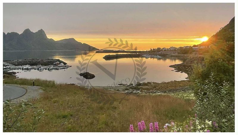 Kopp - Vesterålen , Vorneset