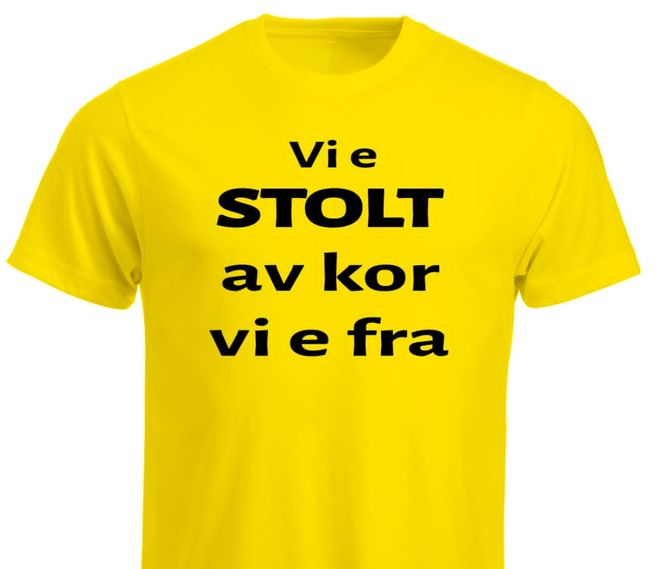 Hovedbilde T-shirt / Hoodie - Vi e STOLT av kor vi e fra 