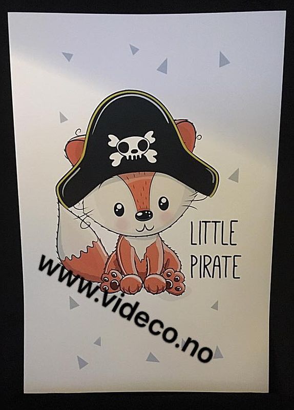Little pirat, Bilde m/ramme